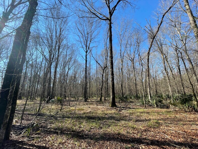 More Photos Of US Highway 231, Montgomery Land For Sale