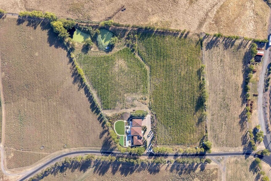 More Photos Of 3001 Sears Point Rd, Sonoma Winery Vineyard For Sale
