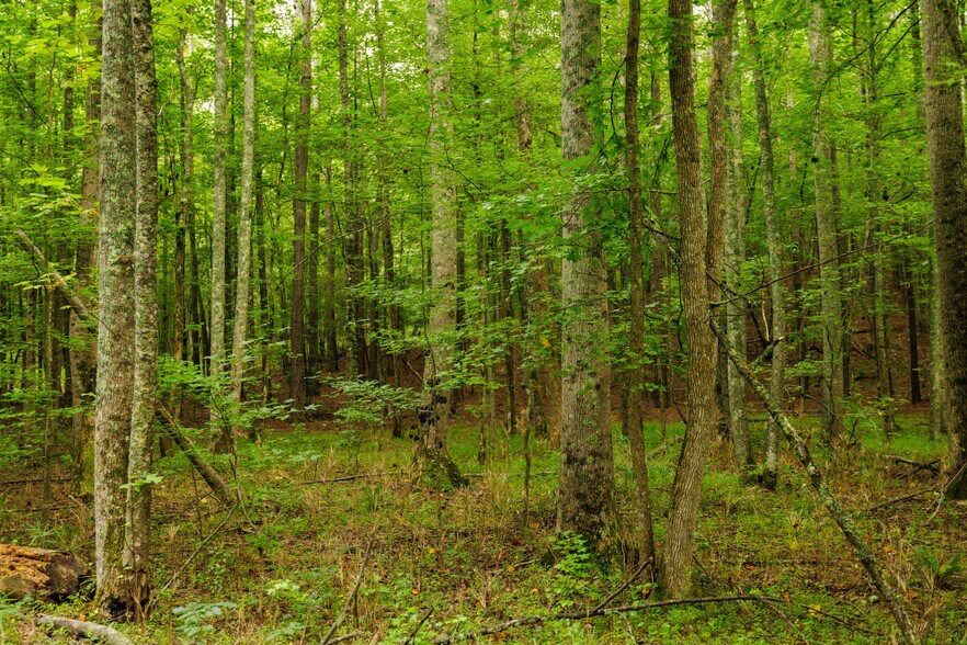 More Photos Of 2199 Roosterville Rd, Roopville Horse Stables For Sale