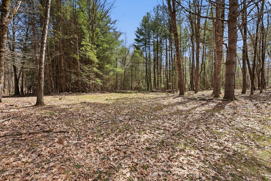 More Photos Of 0 Dry Hill Road, Montague Land For Sale