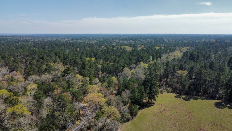 More Photos Of 4430 S FM 1486, Montgomery Land For Sale