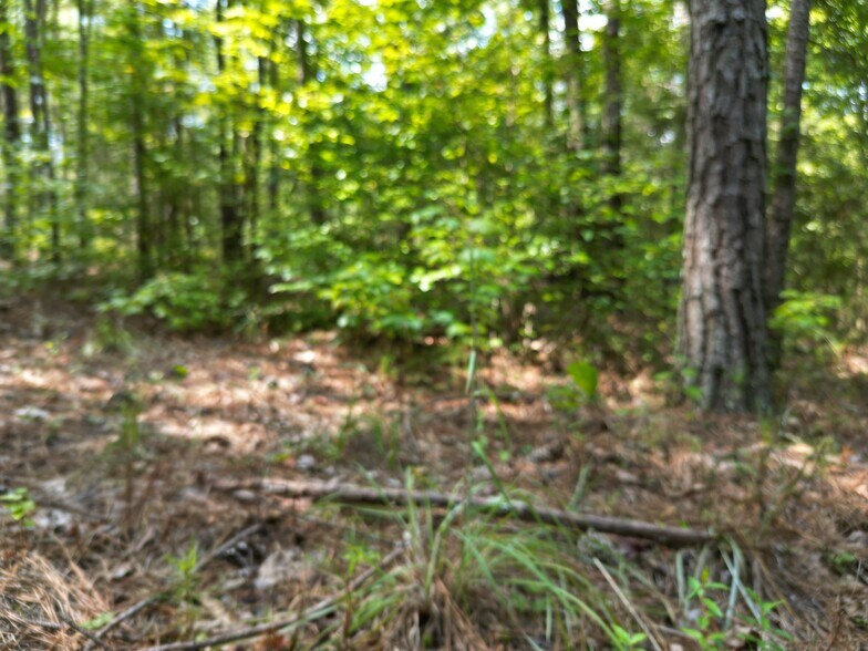 More Photos Of 5171 Ga Highway 138, Loganville Land For Sale