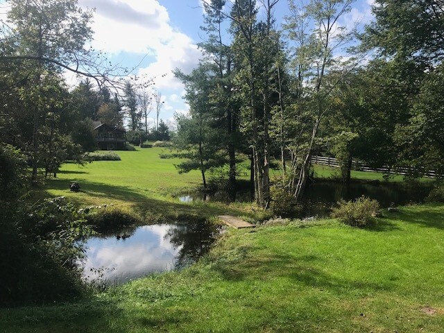 More Photos Of 315 Thompson Rd, Monticello Land For Sale