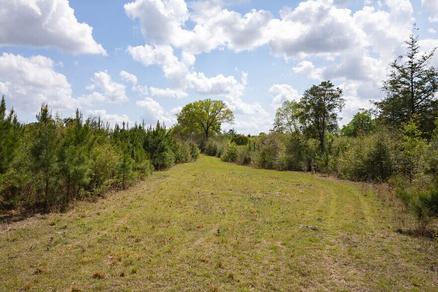 More Photos Of US 84 hwy, Newton Land For Sale