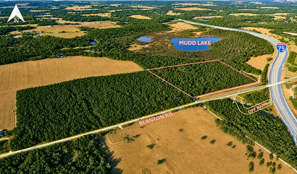 More Photos Of 31529 Blanton Rd, Dade City Land For Sale