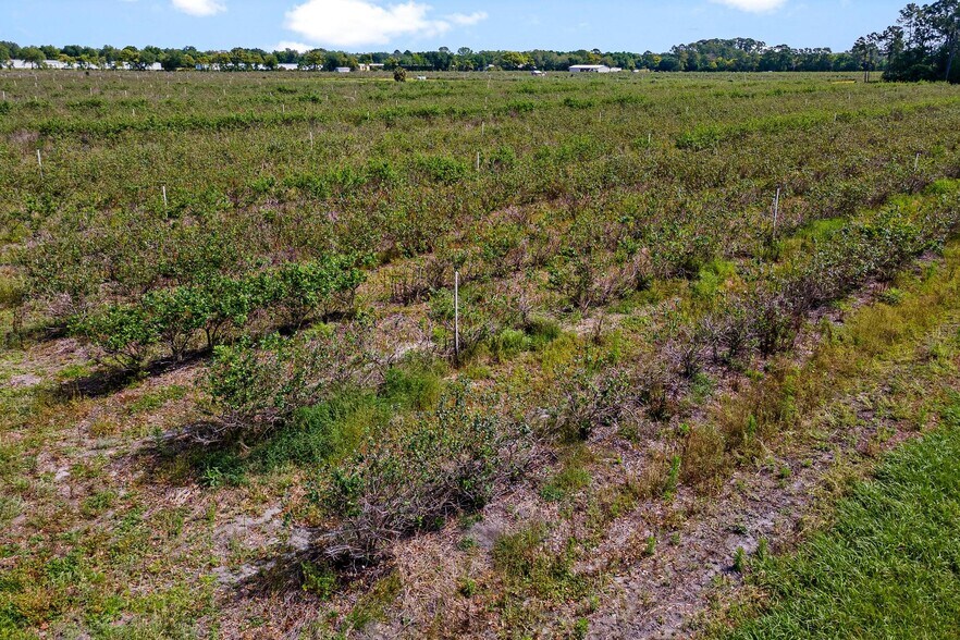 More Photos Of 7453 Jones Ave, Mount Dora Land For Sale