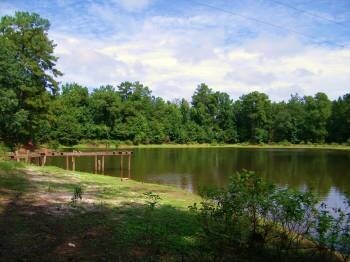 More Photos Of 350 Cromer Rd, Lexington Land For Sale