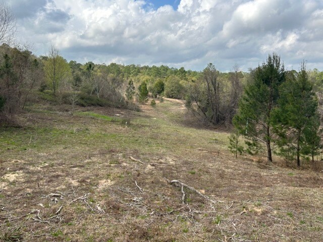 More Photos Of 000 Pearl Street, Crestview Land For Sale