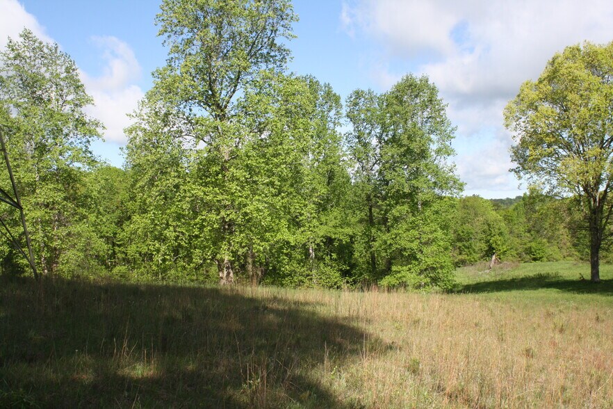 More Photos Of 3720 McEver Rd, Oakwood Auto Repair For Sale