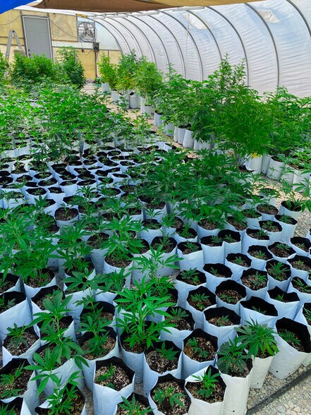 More Photos Of 2681 Shady Ln, Pahrump Food Processing For Sale