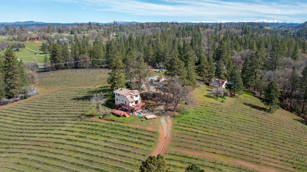 More Photos Of 4771 Greenhills Rd, Placerville Winery Vineyard For Sale