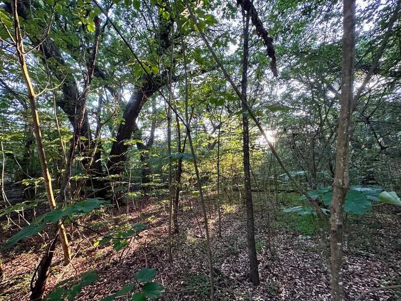 More Photos Of 0 Wilmer, Wilmer Land For Sale