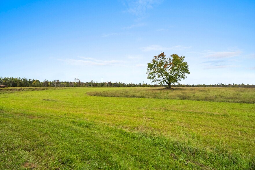 More Photos Of US Highway 141, Wausaukee Land For Sale