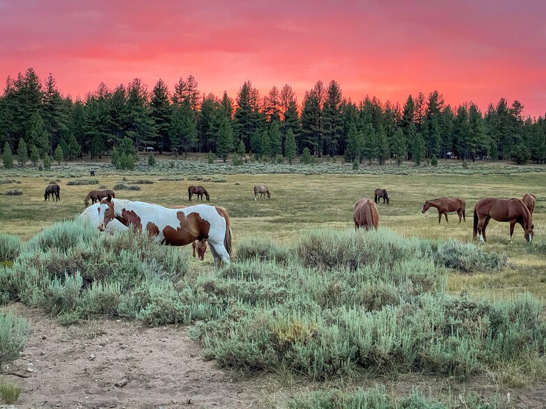 More Photos Of 34300 Holcomb Valley Rd, Fawnskin Land For Sale