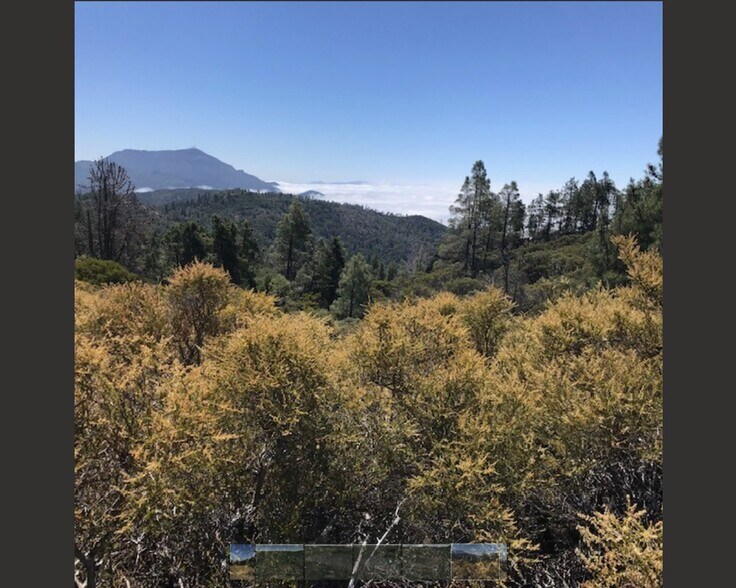 More Photos Of 0 Pine Flat Rd, Healdsburg Land For Sale