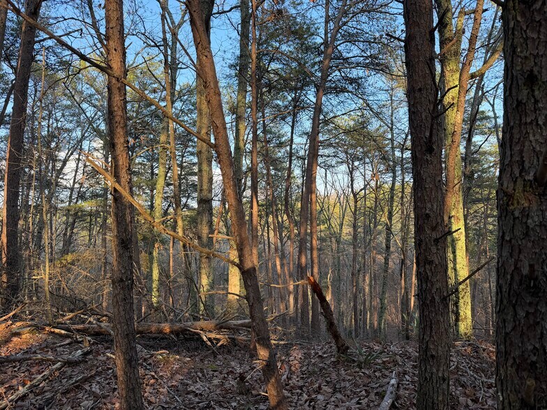 More Photos Of 260 Arnold Rd NE, Fairmount Land For Sale