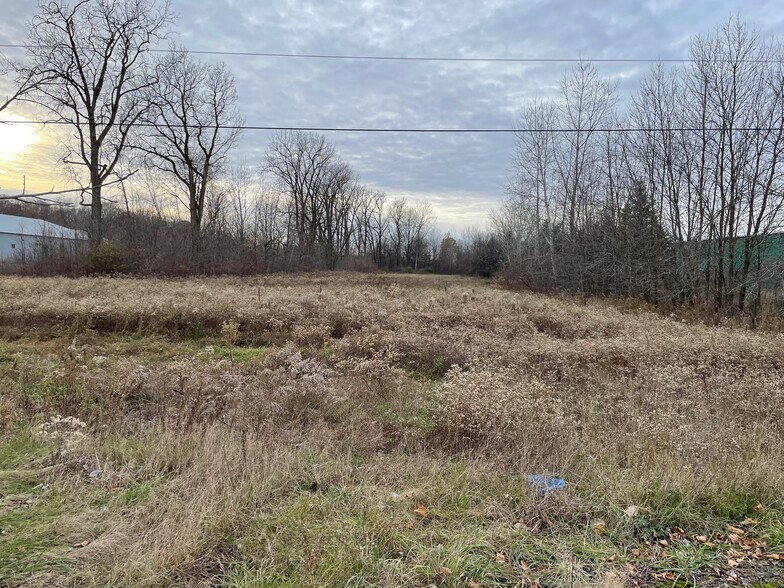 More Photos Of 0 Van Dyke Rd, Almont Township Land For Sale
