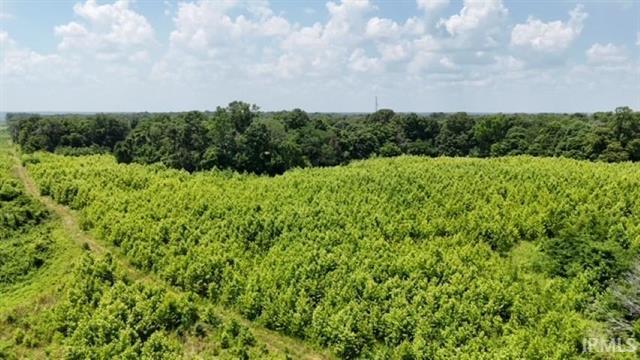 Primary Photo Of Co 150 N rd, Hazleton Land For Sale