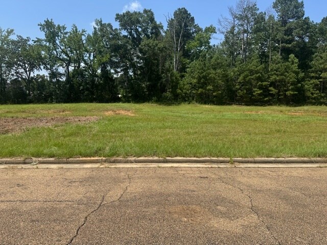 More Photos Of Parklane Rd, Mccomb Land For Sale