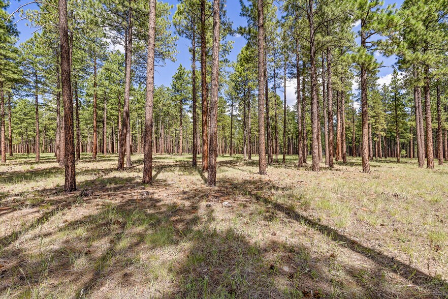 More Photos Of 2251 Kramer St, Flagstaff Land For Sale