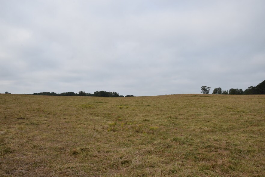 More Photos Of Spears Rd @ GA Hwy 11, Mansfield Land For Sale