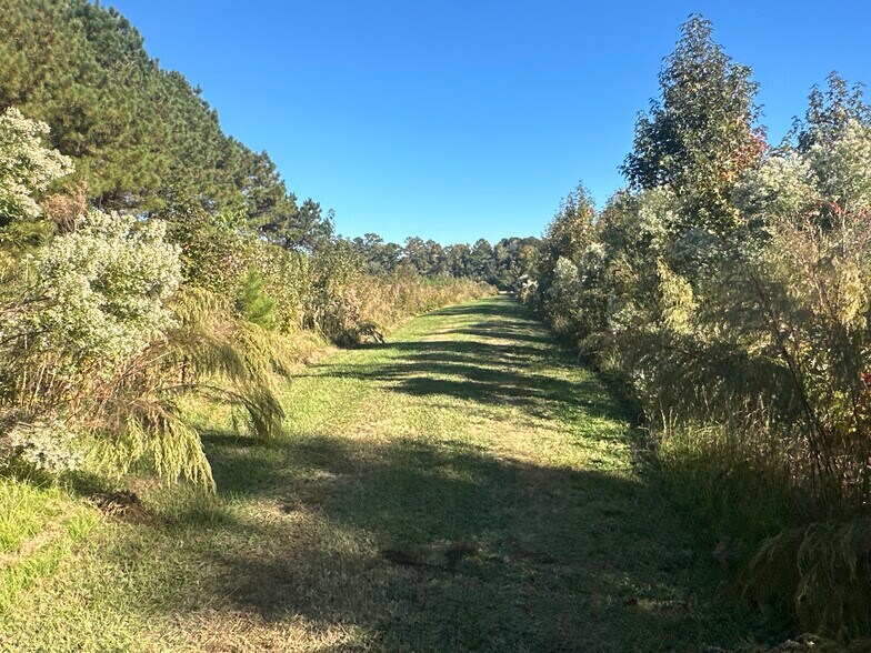 More Photos Of 500 Weston Rd, Creswell Land For Sale