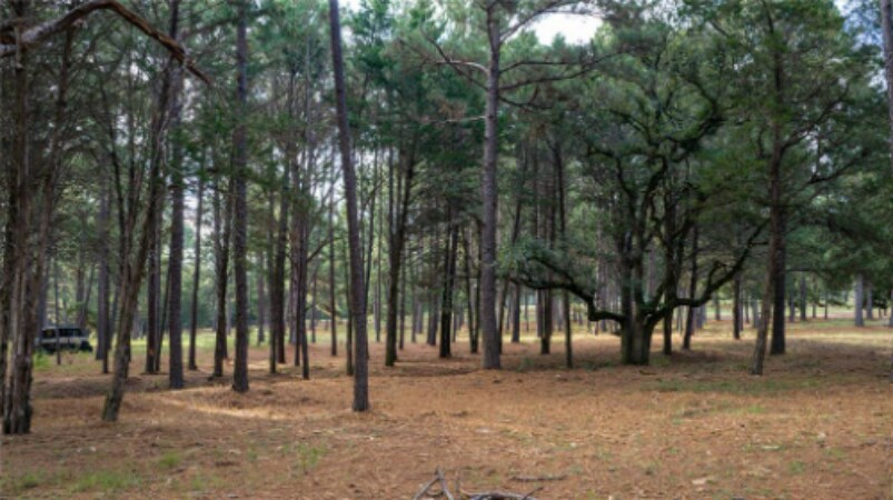 More Photos Of 705 Antioch Rd, Paige Land For Sale