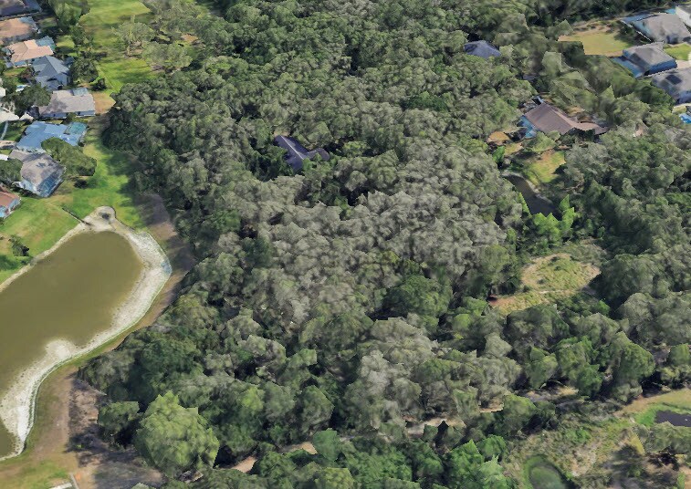 More Photos Of 1676 Hermosa Dr, Palm Harbor Land For Sale