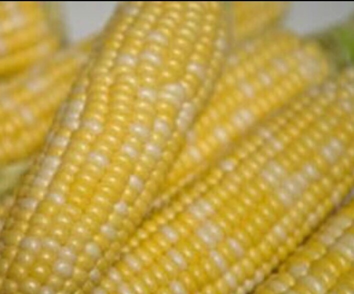 More Photos Of 1327 S Bay St, Eustis Freestanding For Lease