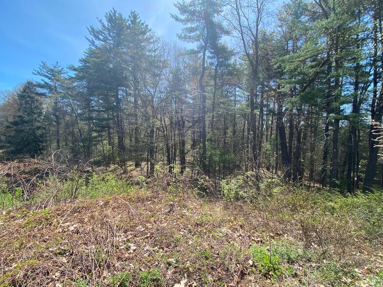 More Photos Of 100 Pequot Rd, Southampton Land For Sale