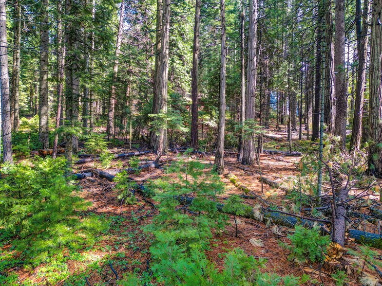 More Photos Of 857 CA-4, Arnold Land For Sale