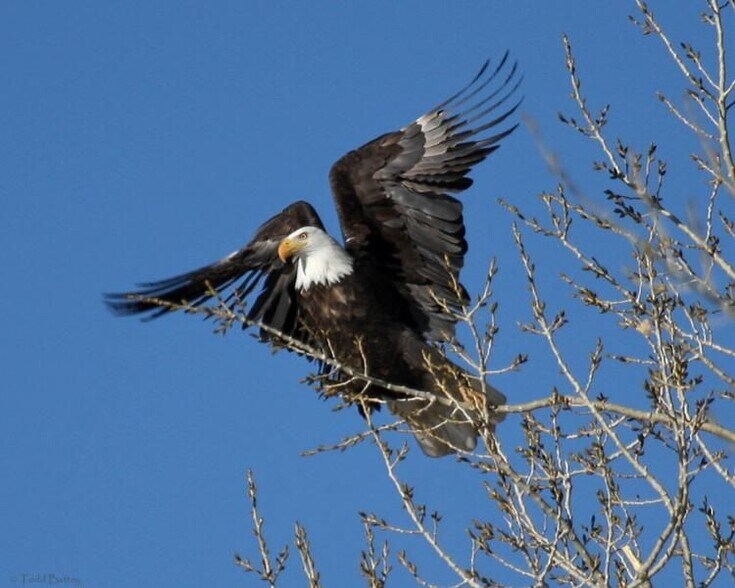 More Photos Of 42701 Ranch Club Rd, Lake Hughes Land For Sale