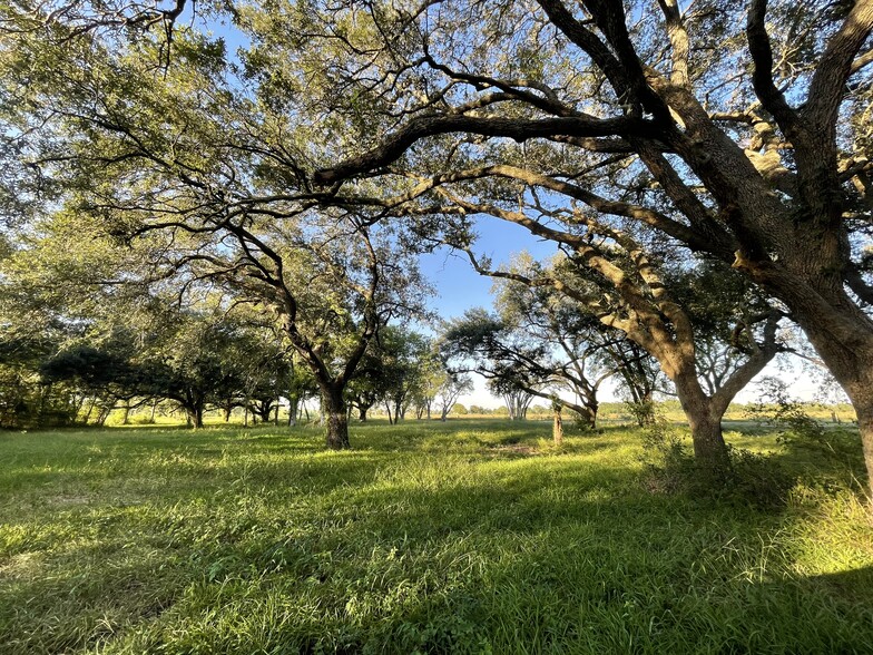 Primary Photo Of 4903 Davenport Pky, Rosharon Land For Sale