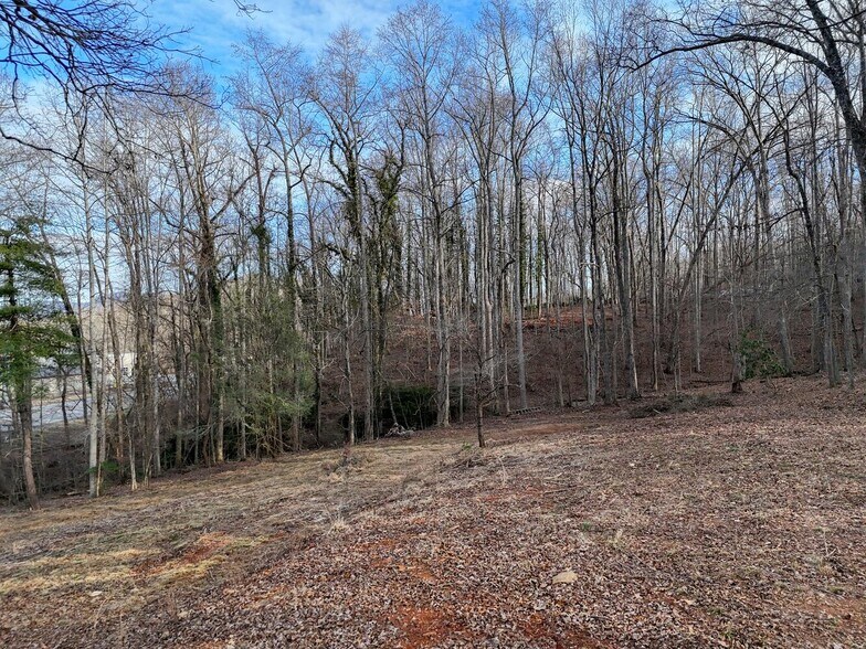 More Photos Of 2342 US-76, Hiawassee Land For Sale