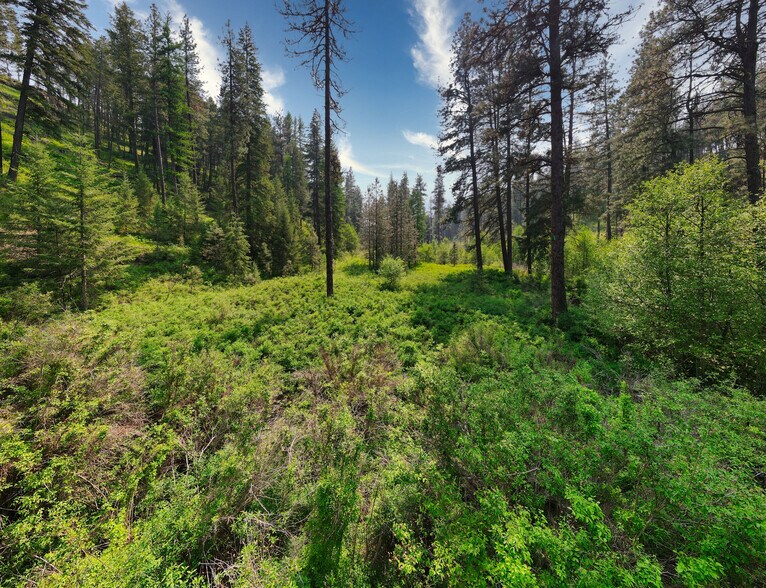 More Photos Of 45XXX Devore Rd, Davenport Land For Sale