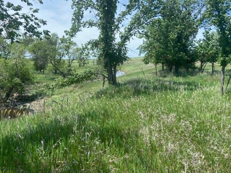 More Photos Of 29392 239th St, Vivian Land For Sale