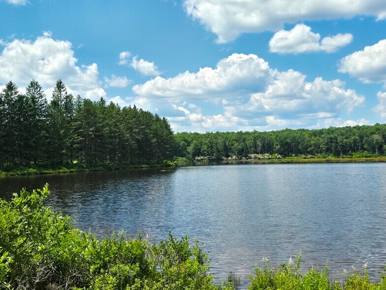 More Photos Of 40 Sparten Hill Rd, Livingston Manor Specialty For Sale