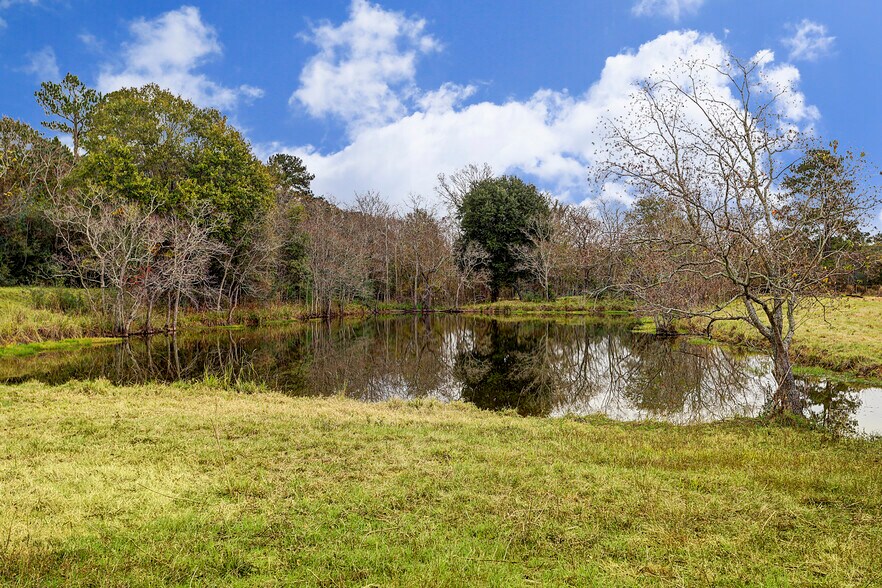 More Photos Of TBD Magnolia Road Rd, Hockley Land For Sale