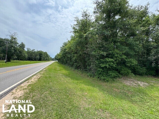 More Photos Of 0 Dead Lake Rd., Creola Land For Sale