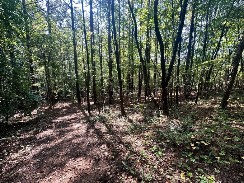 More Photos Of 7330 Frix Rd, Cumming Land For Sale