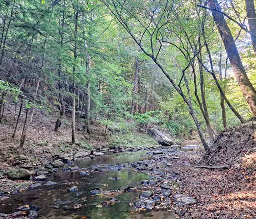 More Photos Of 0 AL 13, Nauvoo Land For Sale