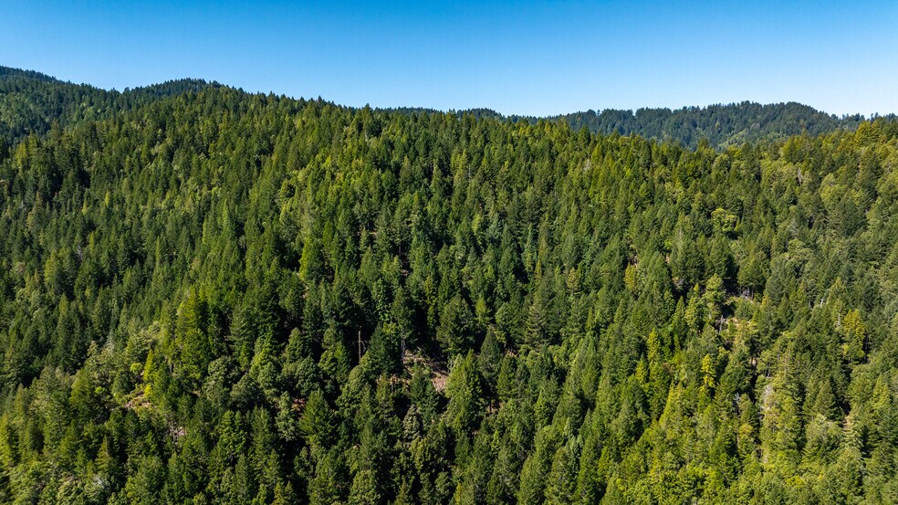 More Photos Of 8555 Signal Ridge Road, Philo Land For Sale