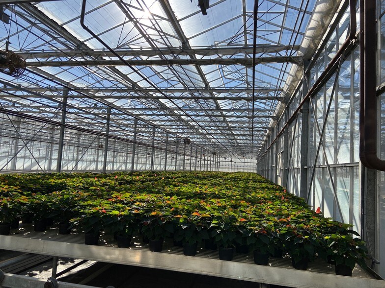 More Photos Of 2265 Cabrillo Hwy S, Half Moon Bay Land For Sale