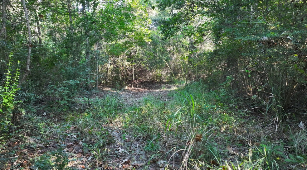 More Photos Of TBD CR 2041, Hull Land For Sale