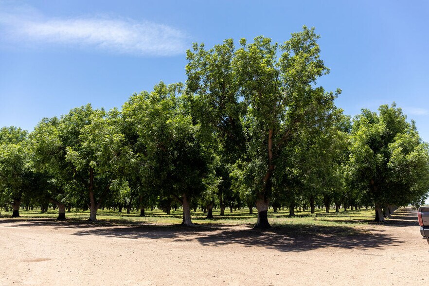 More Photos Of 4968 W Gleeson Rd, Elfrida Land For Sale