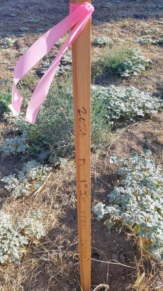 More Photos Of 35250 Hwy 79, Warner Springs Land For Sale