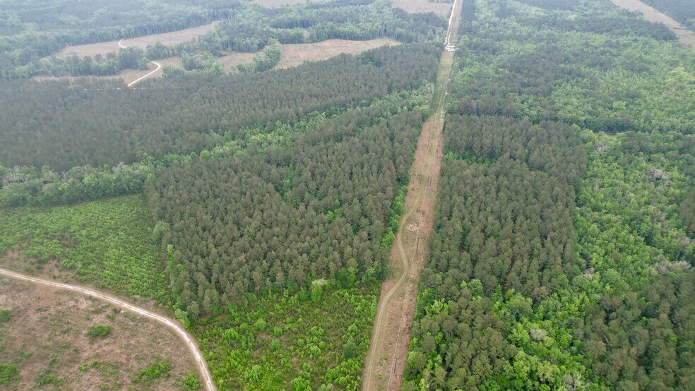 More Photos Of , Reevesville Land For Sale