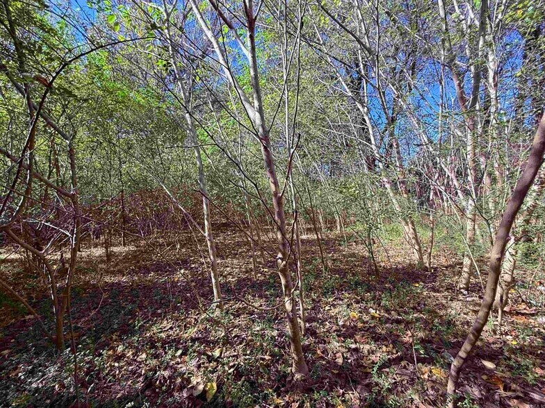 More Photos Of 101 Indian Trl, Bald Knob Land For Sale
