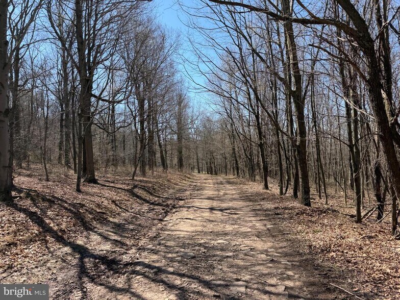 More Photos Of Tooland Rd, Fairhope Land For Sale