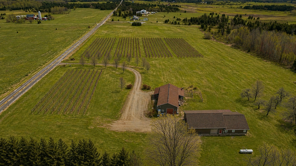 More Photos Of 8370 Lakeview Rd, Alanson Winery Vineyard For Sale
